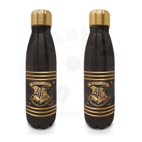 Stainless steel bottle Harry Potter Mini 540 ml