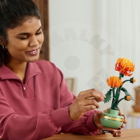 LEGO® Botanicals 10368 Chryzantéma_(3)
