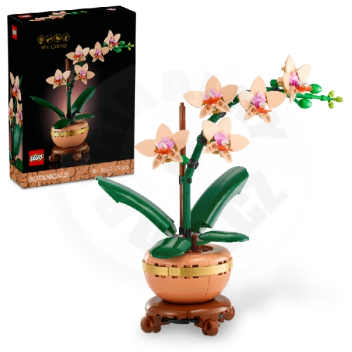 LEGO® Botanicals 10343 Miniaturní orchidej_(1)
