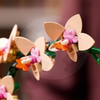 LEGO® Botanicals 10343 Miniaturní orchidej_(6)